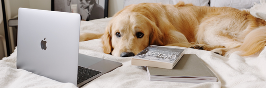 Napping to Success: Should You Take Powernaps?